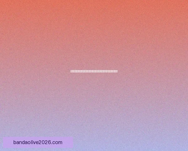 半岛体育官网引领数字化体育娱乐新趋势打造全新观赛互动体验平台