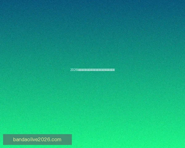 2026年世界杯美国主办热潮足球盛宴全球关注赛事全景解析