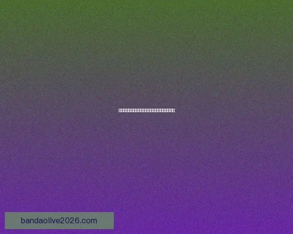 世界杯赛事全解析与投注技巧指南助你精准预测胜负