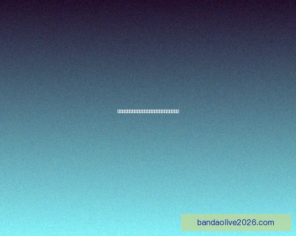 世界杯赛事全解析与投注技巧指南助你精准预测获胜策略