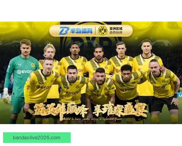 半岛体育助力本地运动发展 以创新方式推动全民健身与赛事举办