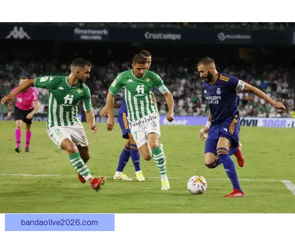 足球竞猜平台全新上线 提供精准分析与实时数据助您轻松预测赛果