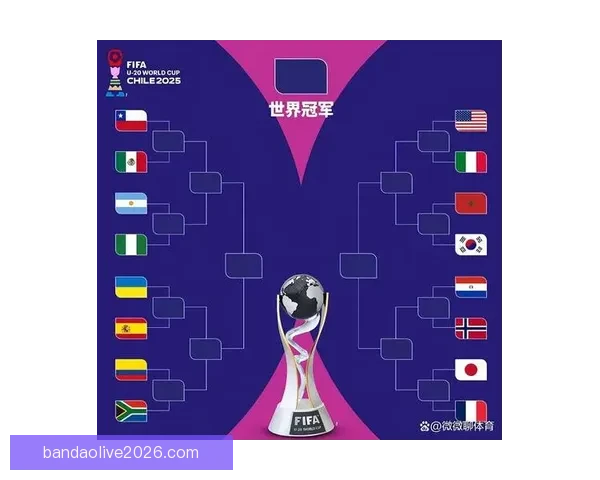 世界杯竞猜分析：精准预测与数据解读助你把握比赛走势